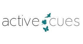 Active Cues